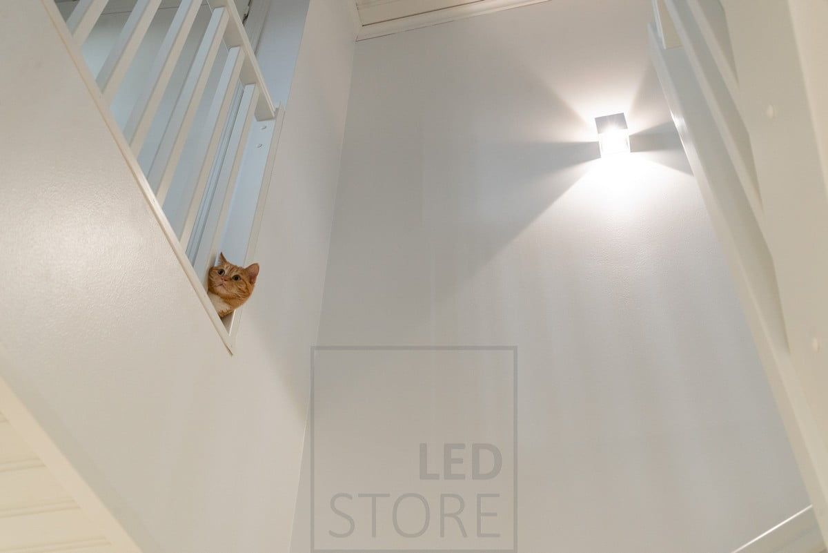The FUNK wall light illuminates the staircase in white, is dimmable and illuminates both upwards and downwards.